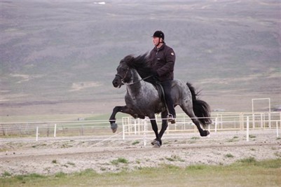 heimir9